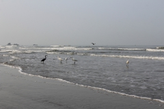 Ride15-Muzhappilangad-3